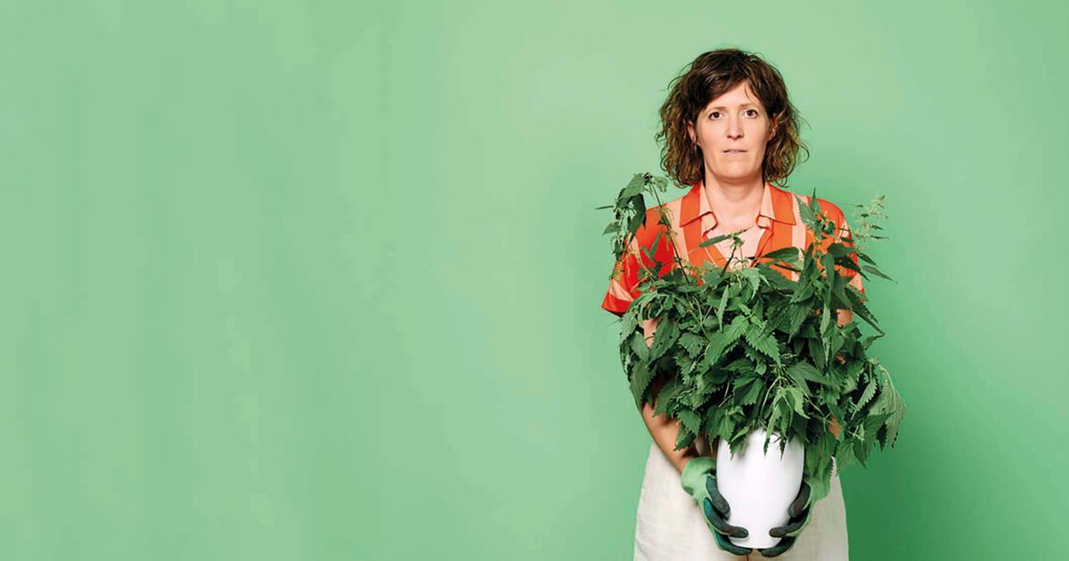 Janneke van Bijl — Pluk eventueel de dag