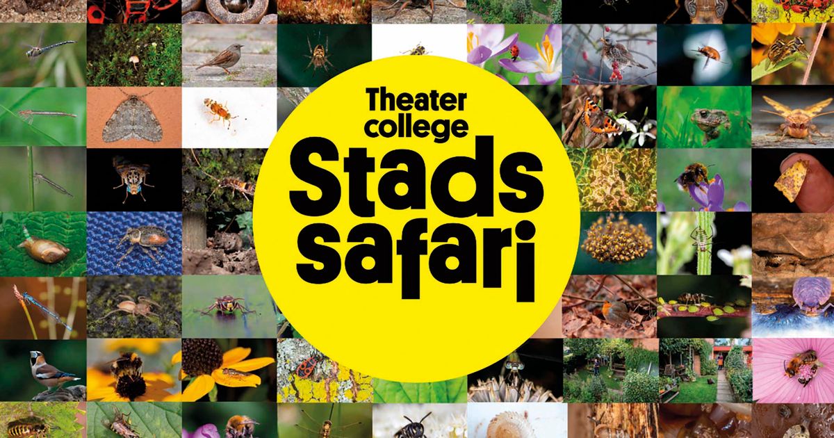Stadssafari — Luc Hoogenstein
